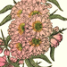 Gentatsu Matsuoka Gallery